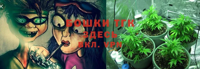 наркота  Прокопьевск  Бошки марихуана THC 21% 